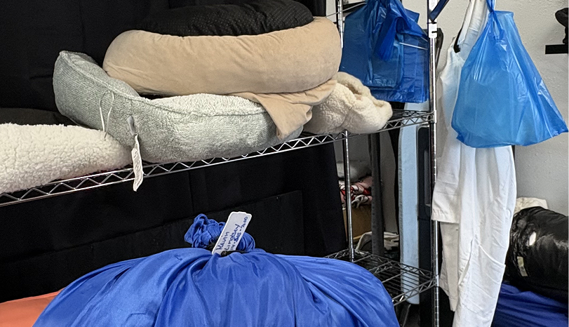 Wash Fold Dry Services